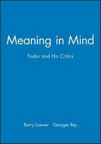 Enlarge image Cover: Meaning in Mind - Wiley