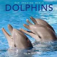 Enlarge image Cover: Dolphins - Ckty Publishing Solutions