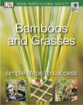 Cover: Bamboos and Grasses - DK