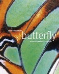 Cover: Butterfly - DK
