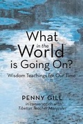 Cover: What in the World Is Going On? - Balboa Press