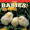 Cover: Barn Babies! - Farcountry Press