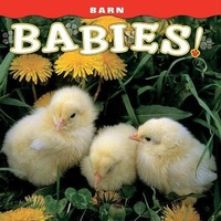 Enlarge image Cover: Barn Babies! - Farcountry Press