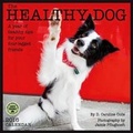 Cover: The Healthy Dog - Amber Lotus