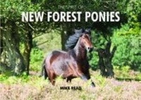 Abbildung von: The Spirit of the New Forest Ponies - Halsgrove