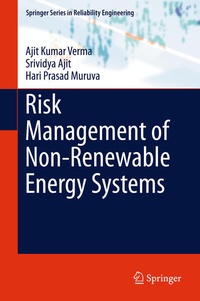 Enlarge image Cover: Risk Management of Non-Renewable Energy Systems - Springer