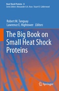 Cover: The Big Book on Small Heat Shock Proteins - Springer