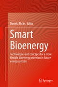 Cover: Smart Bioenergy - Springer