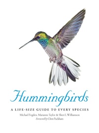 Enlarge image Cover: Hummingbirds - Ivy Press