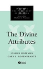 Cover: The Divine Attributes - Wiley