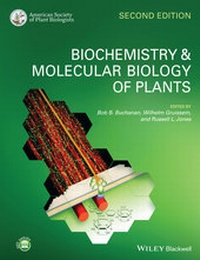 Abbildung von: Biochemistry and Molecular Biology of Plants - Wiley