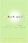Cover: The Next Enlightenment - St. Martin's Press