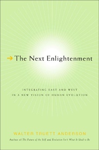 Enlarge image Cover: The Next Enlightenment - St. Martin's Press