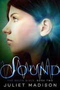 Cover: Sound - Diversion Books