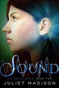 Enlarge image Cover: Sound - Diversion Books