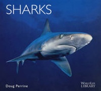 Enlarge image Cover: Sharks - Colin Baxter Photography Ltd