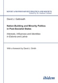 Cover: Nation-Building and Minority Politics in Post-Socialist States - ibidem