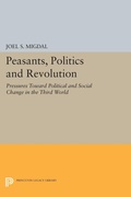 Cover: Peasants, Politics and Revolution - Princeton University Press