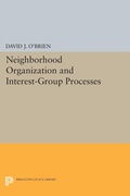Cover: Neighborhood Organization and Interest-Group Processes - Princeton University Press
