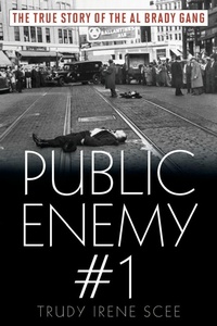 Abbildung von: Public Enemy Number One - Down East Books,U.S.