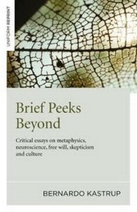 Enlarge image Cover: Brief Peeks Beyond - Iff Books