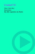 Cover: St&ouml;rzeichen - VDG Weimar - Verlag und Datenbank f&uuml;r Geisteswissenschaften