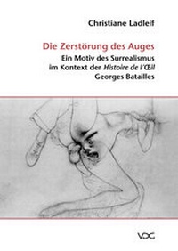 Abbildung von: Die Zerstörung des Auges - VDG Weimar - Verlag und Datenbank für Geisteswissenschaften