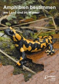 Abbildung von: Amphibien bestimmen - Laurenti