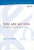 Cover: You Are My Son - T.& T.Clark Ltd