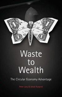 Enlarge image Cover: Waste to Wealth - Palgrave Macmillan