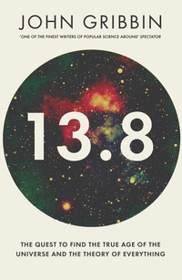 Abbildung von: 13.8 - Icon Books