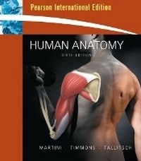 Enlarge image Cover: Human Anatomy - Pearson