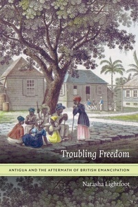 Abbildung von: Troubling Freedom - Duke University Press