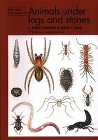 Abbildung von: Animals under logs and stones - Richmond Publishing Co Ltd