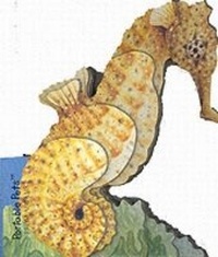 Enlarge image Cover: Seahorse - Harry N. Abrams, Inc.