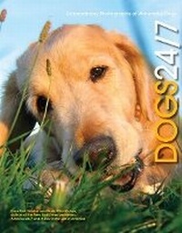 Enlarge image Cover: Dogs 24/7 - Chronicle Books