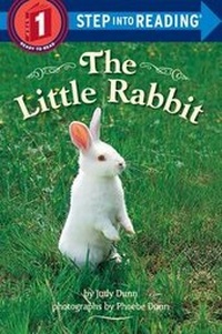 Enlarge image Cover: The Little Rabbit - Random House Books for Young Readers