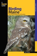 Cover: Birding Maine - Falcon Press Publishing