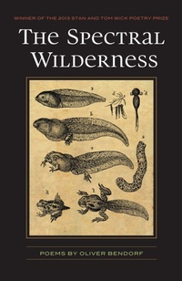 Enlarge image Cover: The Spectral Wilderness - Kent State University Press