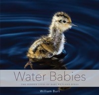 Enlarge image Cover: Water Babies - Countryman Press Inc.
