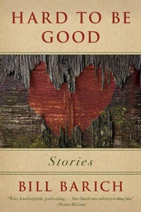 Enlarge image Cover: Hard to Be Good - Skyhorse Publishing