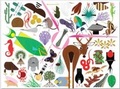 Cover: Charley Harper's Animal Kingdom - AMMO Books LLC