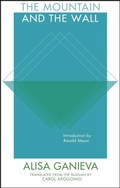 Cover: The Mountain and the Wall - Deep Vellum Publishing