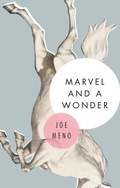 Cover: Marvel and a Wonder - Akashic Books