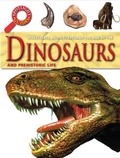 Cover: Dinosaurs - Brown Bear Books Ltd