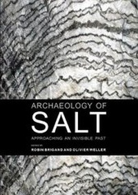 Enlarge image Cover: Archaeology of Salt - Sidestone Press