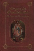 Cover: Virgen de Guadalupe-Historia de Nuestra Senora de Tonantzin - Tomo