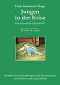Cover: Jungen in der Krise - Brandes & Apsel
