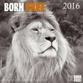 Cover: Born Free 2016 - Icarus Arts Publishing Ltd