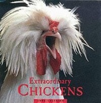 Abbildung von: Extraordinary Chickens 2003 Calendar - Harry N. Abrams, Inc.